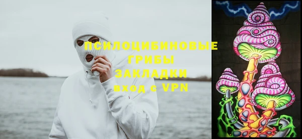 Альфа ПВП Инта