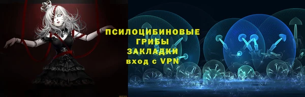 хмурый Инсар