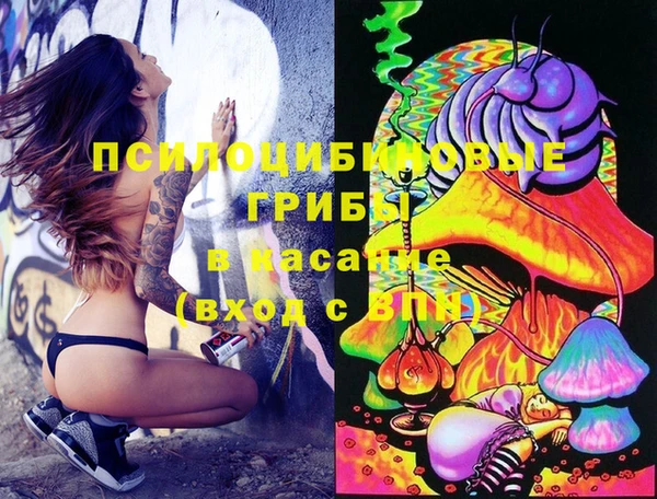 хмурый Инсар
