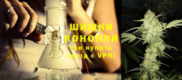 хмурый Инсар