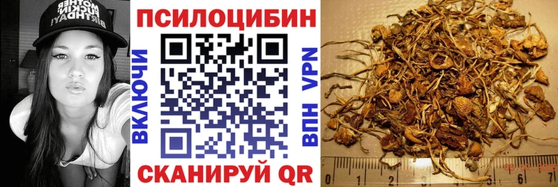 Псилоцибиновые грибы Cubensis  Купить  Салехард 
